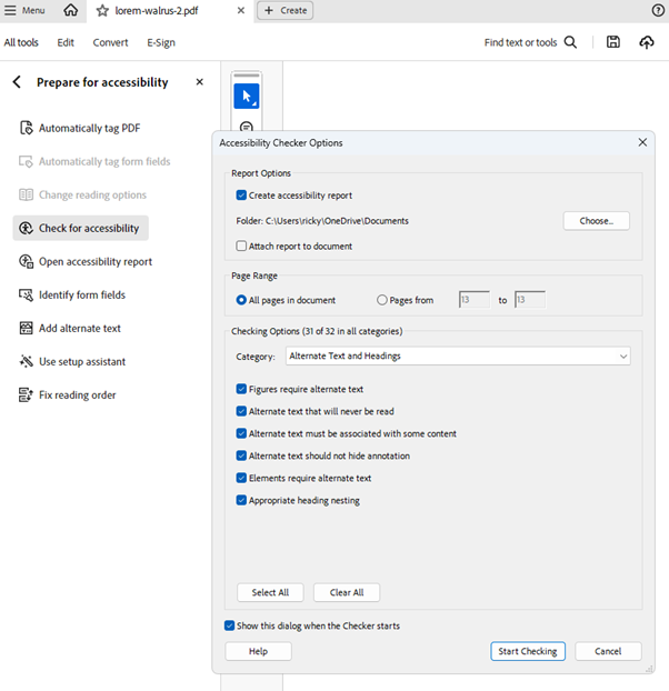 Accessibility Checker Options with Start Checking highlighted