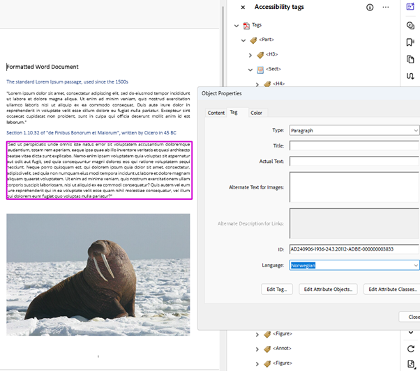 A paragraph of text highlighted in the Document Panel, with the Object Properties dialog of the relevant tag open and the Language property highlighted