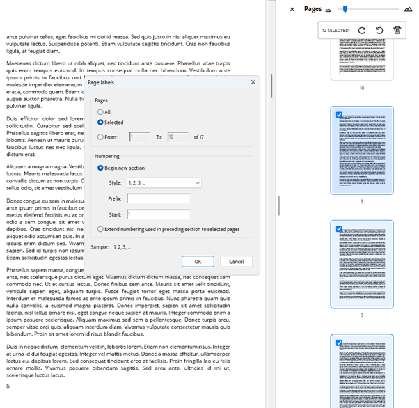 The Pages panel open with a page number highlighted and the Page Labels dialog open with options highlighted.