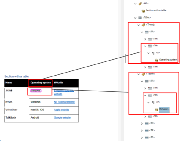 The Accessibility Tags panel showing a table's tag structure and the same table in the document panel. Lines connect the two panels.