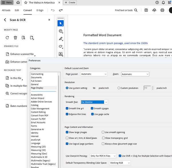 The Preferences dialog open with Rendering options highlighted.