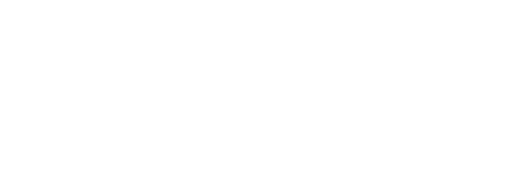 Vispero Logo White