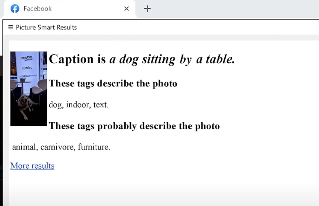 Picture Smart results describing a photo of a dog by a table with tags.