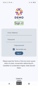 Screenshot of the demo app with a green outline around the 'Sign in' heading