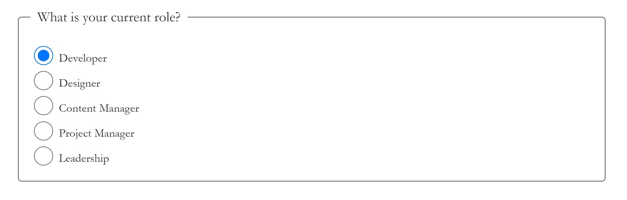A fieldset with the group label "What is your current role" followed by radio buttons for developer, designer, content manager, project manager, and leadership. The radio button for "developer" is selected.