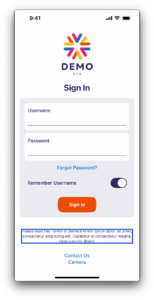 Screenshot of the demo app with a black outline around the terms and conditions text.