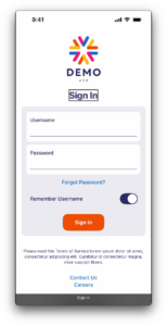 Screenshot of the demo app with a black outline around the 'Sign in' heading