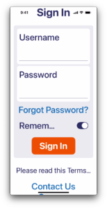 Screenshot of the demo app viewed with large fonts, showing that some of the content is missing or truncated.