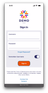 Screenshot of the demo app with a black outline around the 'Sign in' button.