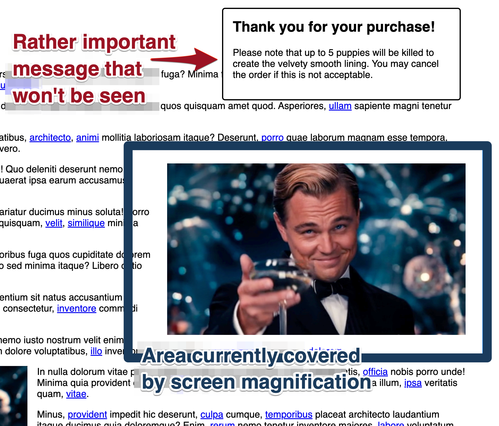 Screenshot of a page where the visible area covered by screen magnification is highlighted. Outside of that area, though, is a notification message that reads 'Thank you for your purchase! Please note that up to 5 puppies will be killed to create the velvety smooth lining. You may cancel the order if this is not acceptable.'